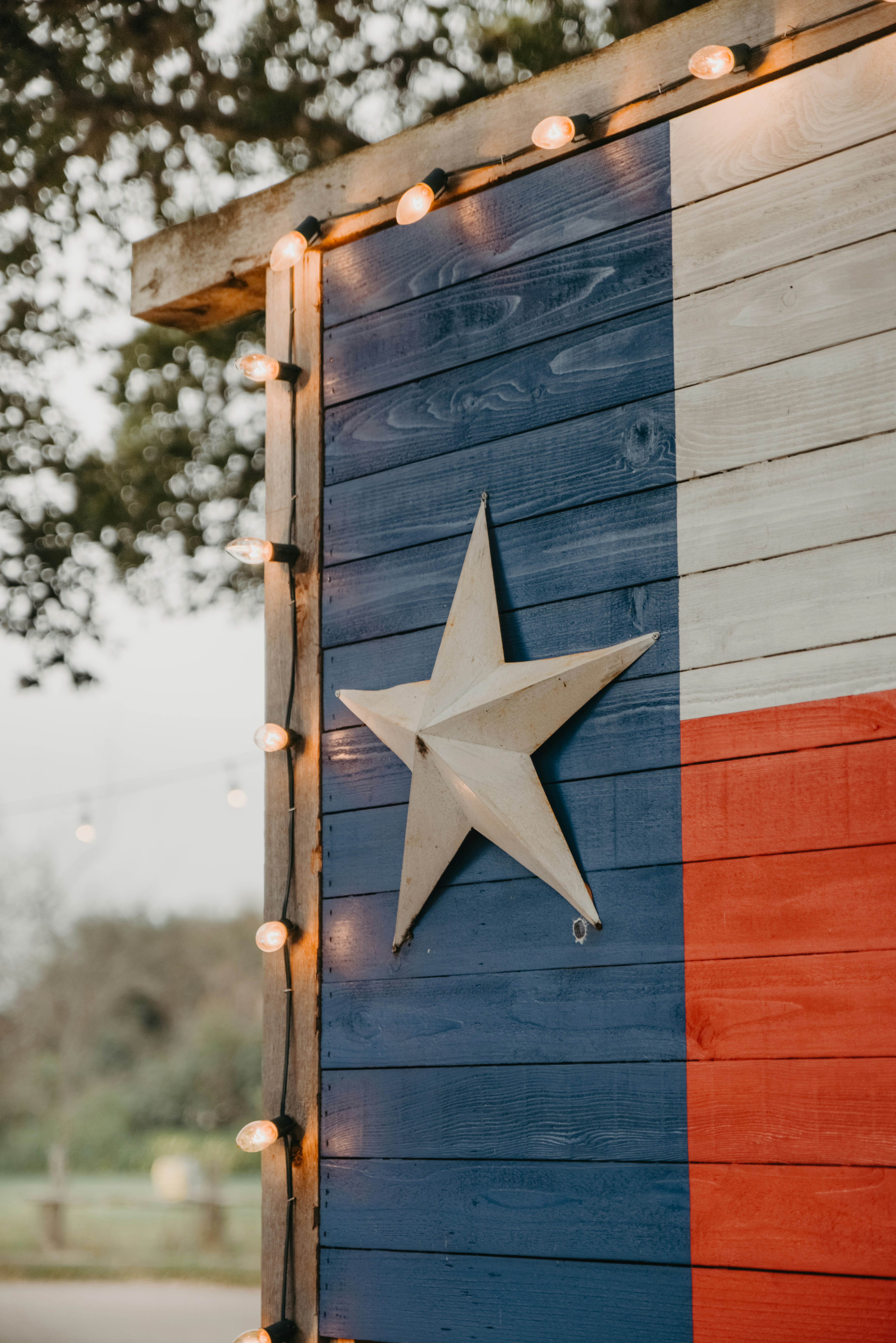 Texas flag on wooden wall