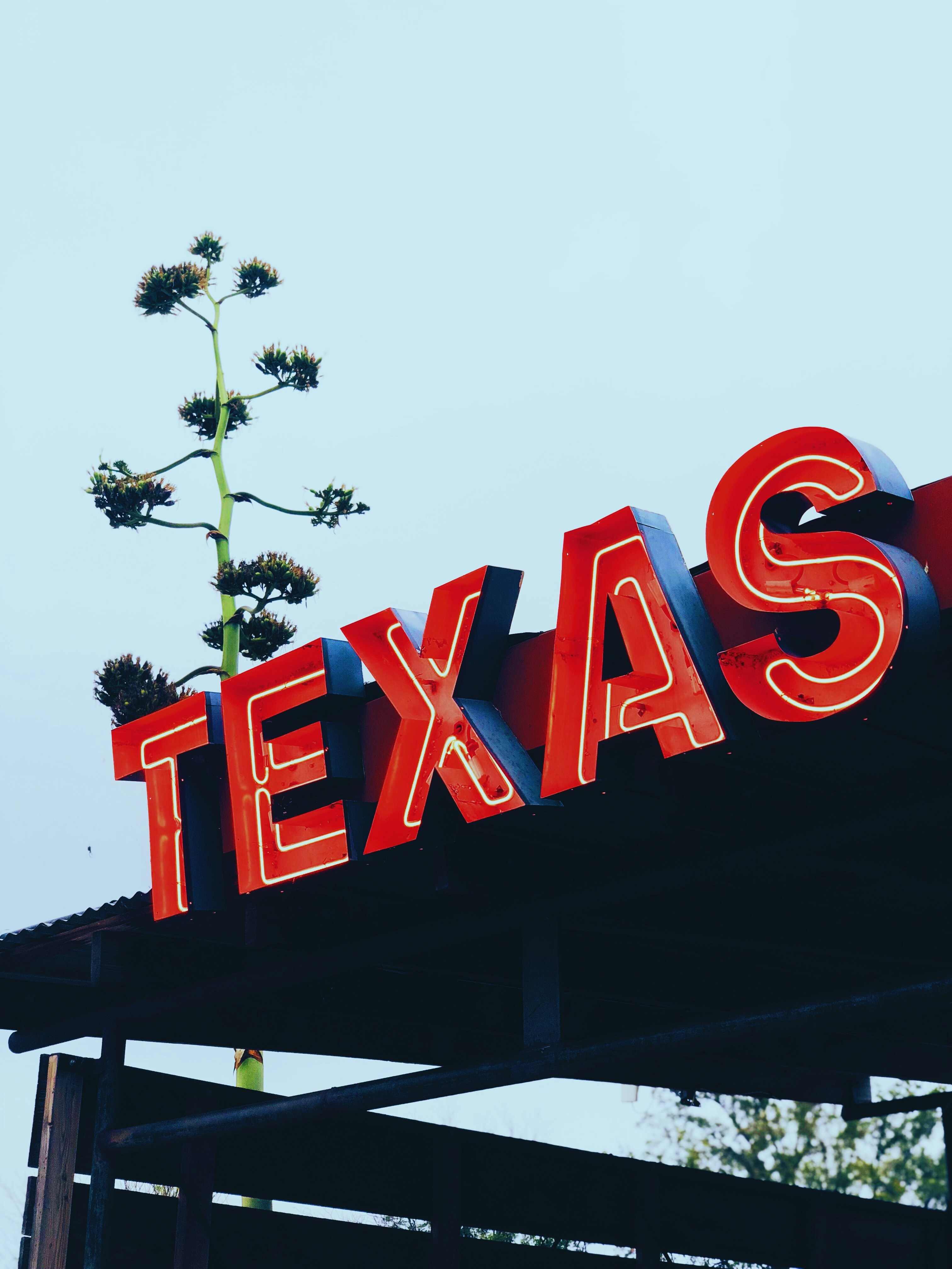 Neon TEXAS sign